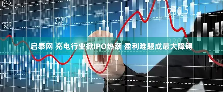 启泰网 充电行业掀IPO热潮 盈利难题成最大障碍