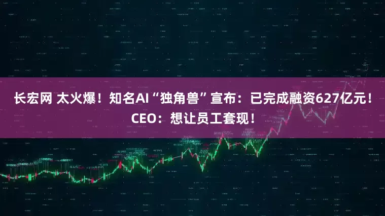 长宏网 太火爆！知名AI“独角兽”宣布：已完成融资627亿元！CEO：想让员工套现！