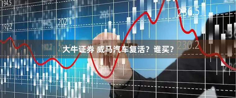 大牛证券 威马汽车复活？谁买？
